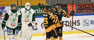 Alla betygen efter AIK:s nya seger: "Finns inte många bättre målvakter i Sverige – kedjan skulle kunna gå rakt in i SDHL"