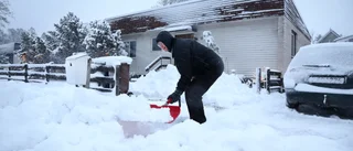Efter solglimt – nu kommer nästa snölass