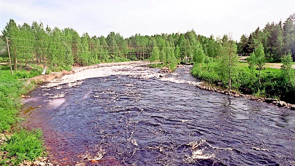 Fisket väcker känslor. På söndag håller fiskevårdsområdet i Byske årsmöte. Det kan bli tuff debatt mellan två falanger som träter.