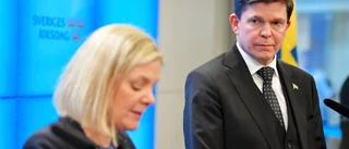 Talmannen: MP kan ha skadat riksdagen
