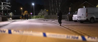 Pistolman i Fanna sköts av polis – döms till fängelse