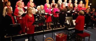 Lapponica sjöng in julen på Lillan