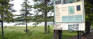 Reivo i Arvidsjaur ett prioriterat nationalparksobjekt 