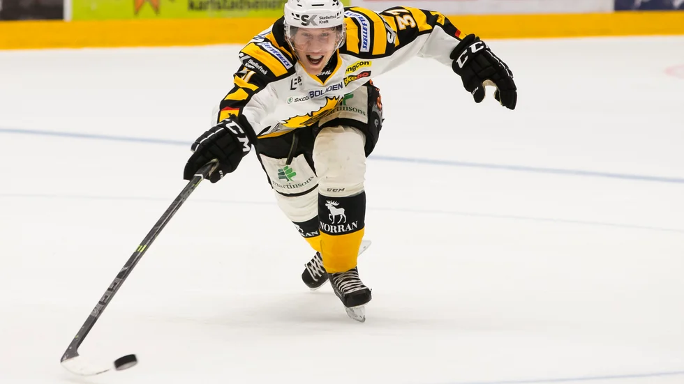 Foto: ANNA-LENA BERGQVIST.