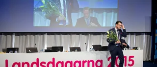 Får Jimmie Åkessons två nya stödpartier?
