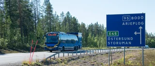 Vill att riksväg 95 blir Europaväg