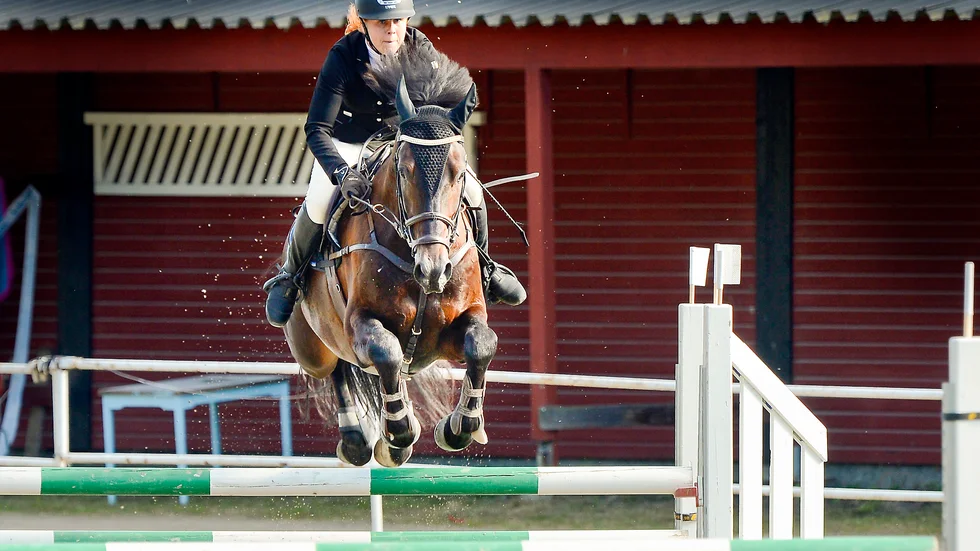 Topplacering. Det blev till slut en tredjeplats i Norrlandsmästerskapen för Erica Cox och hennes häst Quintus 101 efter en spännande avslutning på den tredje och avslutande rundan. Foto: Leif Andersson.