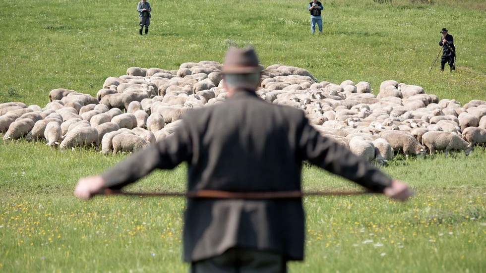 Foto: Jens Meyer.