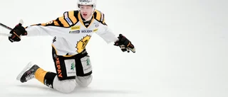 Adam Pettersson om Viennamålvaktens rån: ”Surt”