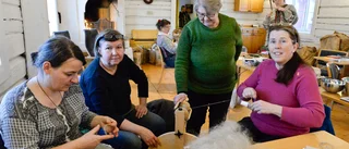 Stora möjligheter för lokal ull