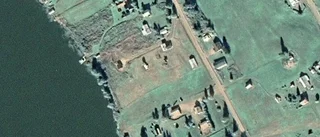 Ny ägare till skog i Tärendö