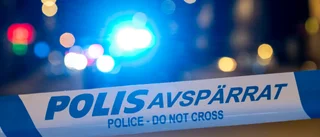 Med andra ord – svinhugg går igen