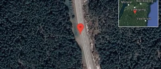 Fallna träd skapar problem i trafiken