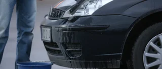 Förbjud biltvätt på gatan – barnen och djuren får betala priset
