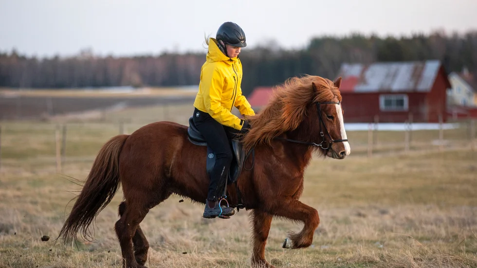 Inka Kelahaara med Bida i träning hemma på Stall Tängby söder om Grillby. 15-åringen är nybliven SM-guldvinnare och är uttagen till landslaget för att tävlas i NM på Åland i augusti.
