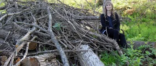 Projekt för naturskydd