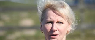 Wallströms verkliga ord