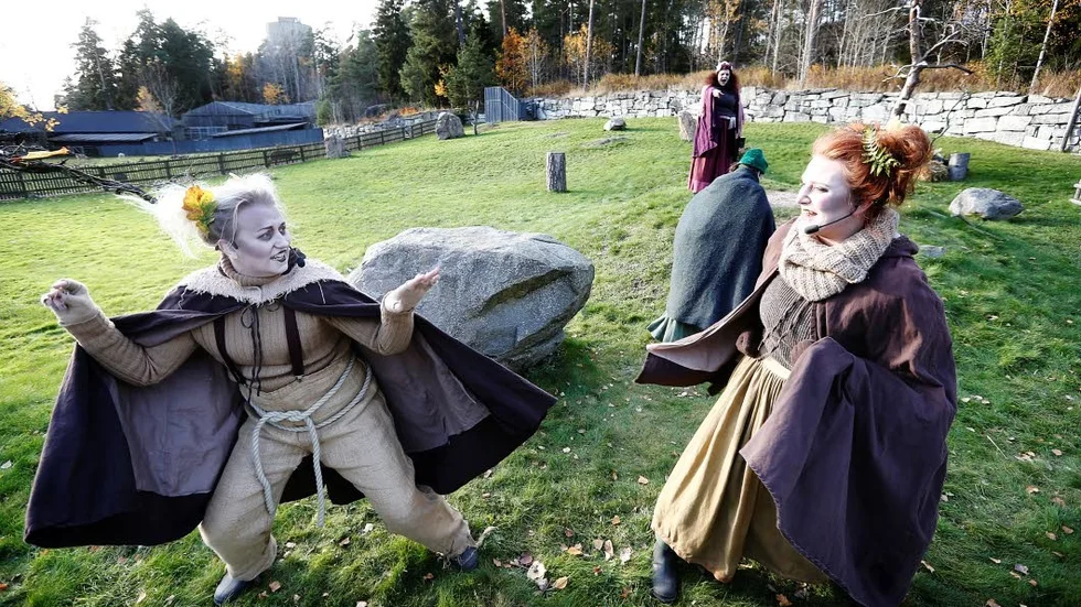Härliga häxor kommer även i år att underhålla besökarna i djurparken.