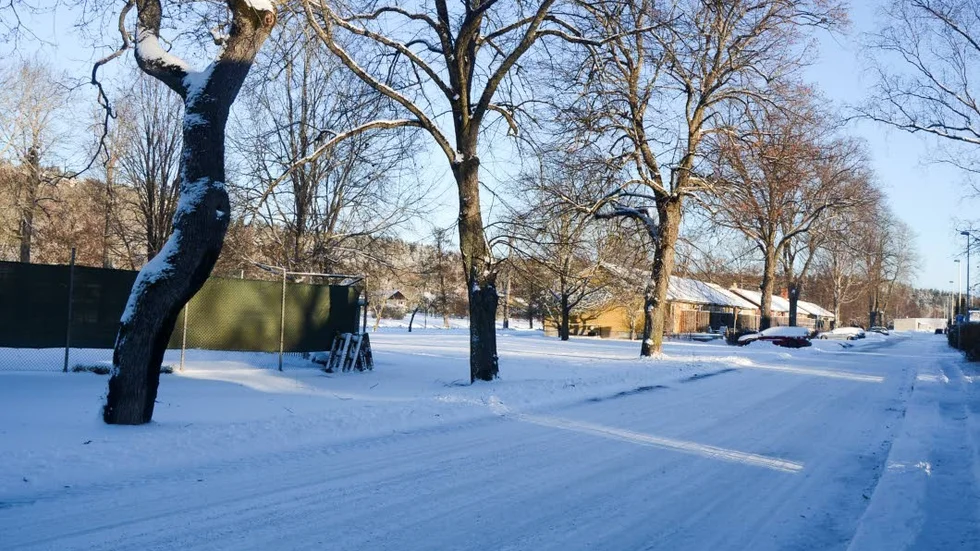 Parkvy. Här är ett av de områden där det ska byggas. Längts bort till höger syns Vimman som planeras att rivas.