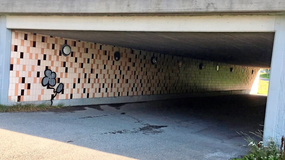 Det var vid 18.20-tiden på onsdagskvällen som kvinnan angreps av en yngre man i E4-gångtunneln som förbinder Anderstorp och Sörböle i Skellefteå.