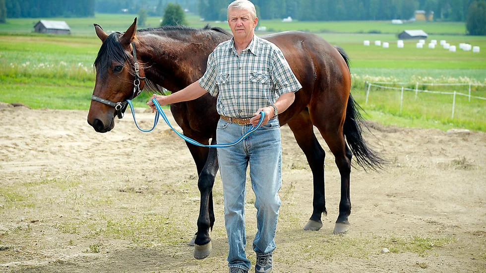 Det finns krut i Tehachapi, men Torbjörn Ögrens sto har agerat mer harmoniskt i år. Imorgon startar hon inom V86-spelet på hemmaplan. FOTO: LEIF ANDERSSON