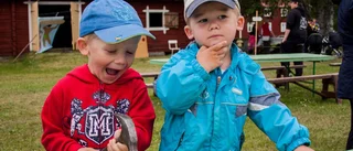 Bildspel från Burträsksvängen