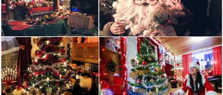 Bildextra: Pyntaren slår nya rekord: ✓25 ljusstakar ✓23 julstjärnor  ✓384 tomtar ✓7 julgranar