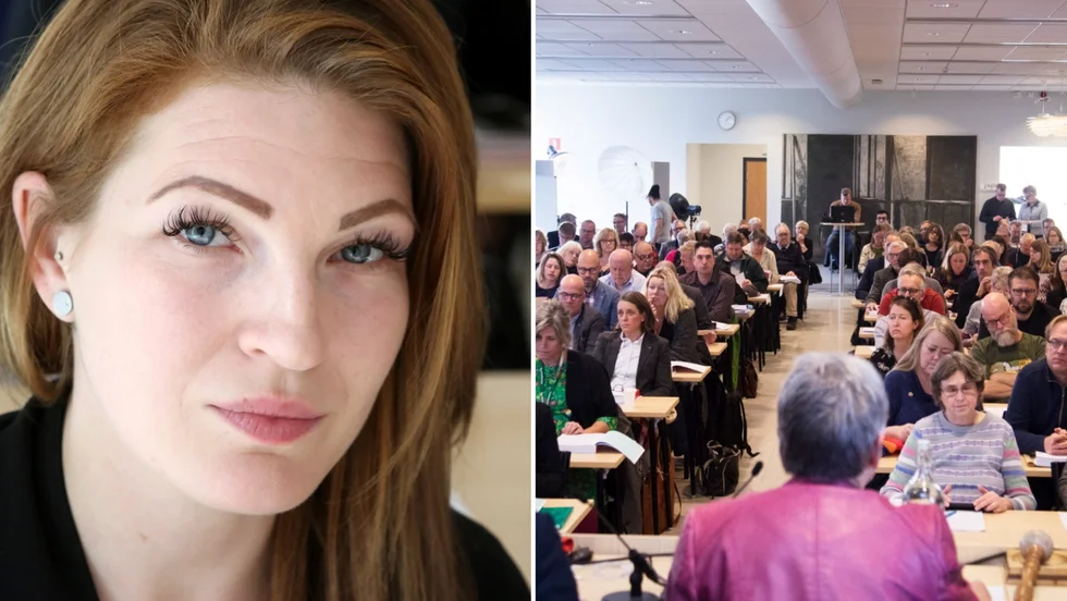 Tina Benthammar lämnar sina uppdrag inom politiken.