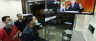 Algeriet friger fångar, upplöser parlament