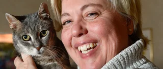 Suzanne Axell slutar som programledare