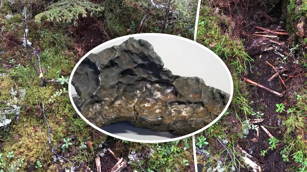 Meteoriten som hittades väger 14 kilo.