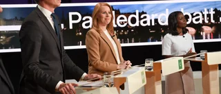 Låt januariavtalets partier styra fyra år till