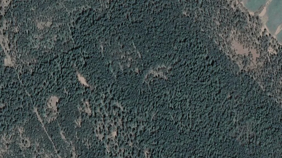 Området kring Boge Vike 335
