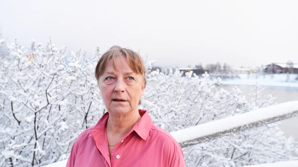 Fram till andra december går det att uppleva Gun-Britt Forslunds utställning "Retro till nu" på Galleri1. "Jag tycker väldigt mycket om snö, det inspireras jag av", säger hon. 