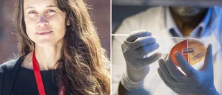 Maria Amér: "Får tolka siffrorna med försiktighet"