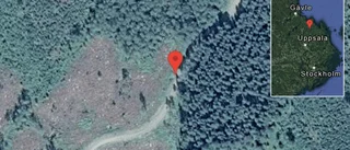 Fallna träd skapar problem i trafiken på väg 735