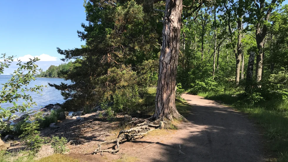 Stopp för cykling. Här på den yttersta Råssnäsudden ska det inte längre vara tillåtet att cykla. Stigarna intill Vättern är bara för gång och löpning.
