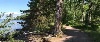 MTB-cykling stoppas på Råssnäsudden