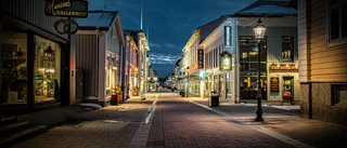 Läsarbilden                    