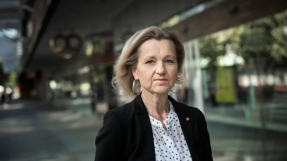 Boel Godner (S) är kommunalråd i Södertälje och styrelseordförande för bolaget Syvab, som driver Himmerfjärdsverket i Botkyrka.