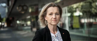 Ägarfråga inför avloppsledning kan ta lång tid: "Pågår en diskussion i ägargruppen"