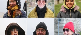Mer hästar och mindre Teams – det hoppas vi på år 2021