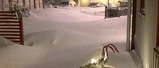 Läsarbilden                   