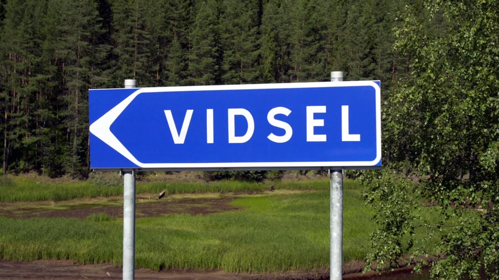 Händelserna i Vidsel sätter ännu en gång fingret på problemen i bärplockningsbranschen.