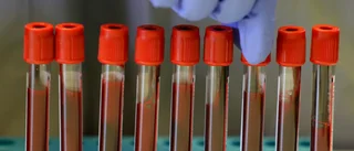 Riskgrupper uppmanas bli vaccinvolontärer