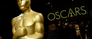 Svenskt bolag fick teknisk Oscar