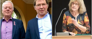 Majoriteten avslår centerinitiativ för företagare