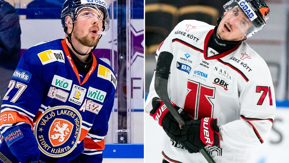Martin Lundberg får två matcher, Borna Rendulic tre matcher. 