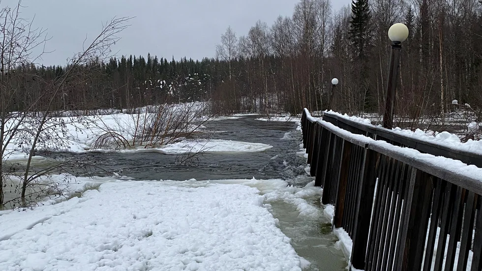 På måndagen upptäcktes att vatten forsade över delar av gångbron mellan Hotell Storforsen och Storforsens naturreservat. Trycket från vattenmassorna från forsen riskerar att slita sönder bron.