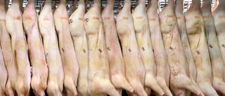 Svårt att få personal till slakterier